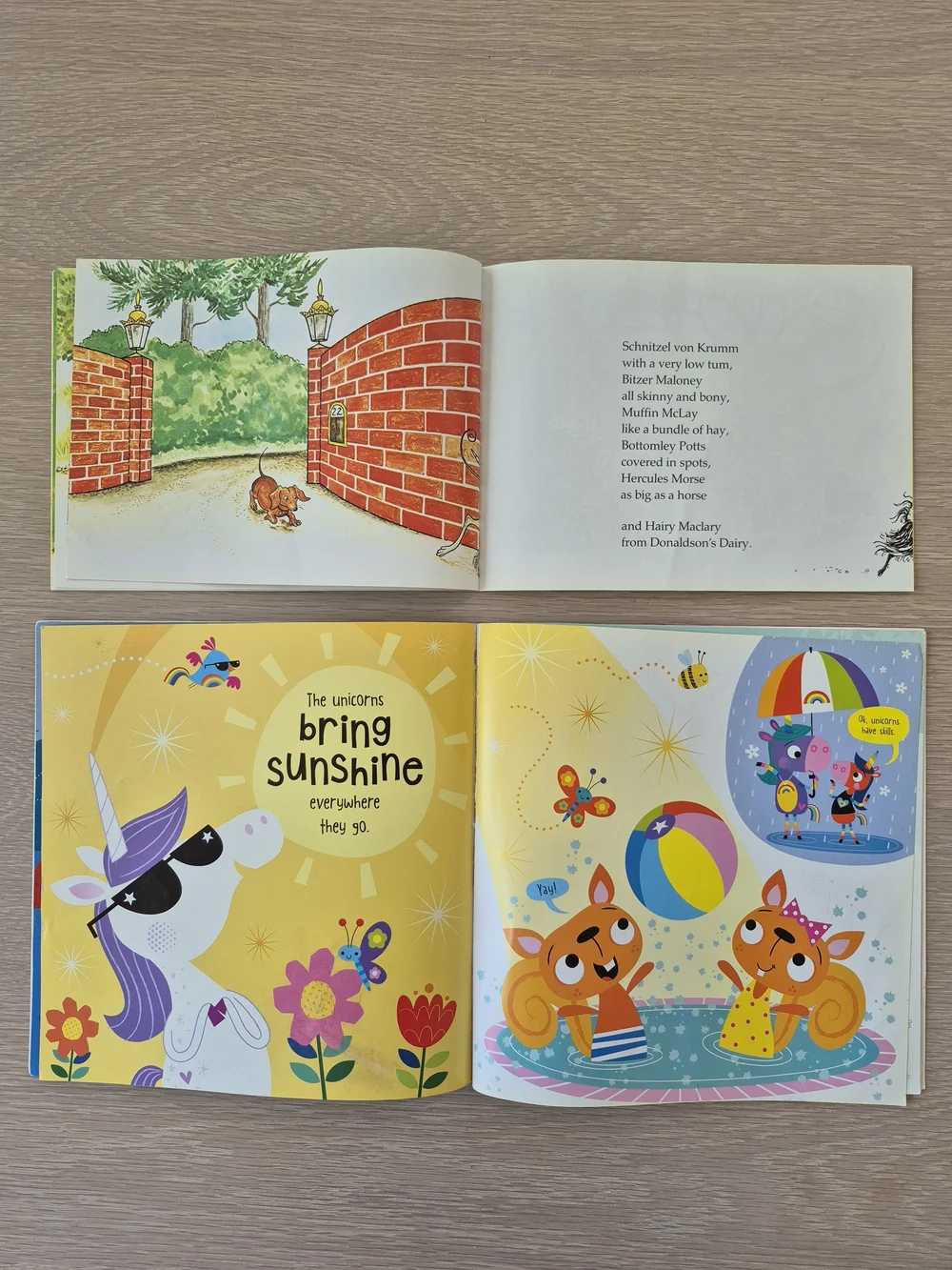 Hairy Maclary from Donaldson's Dairy and We are the Groovicorn! children's books